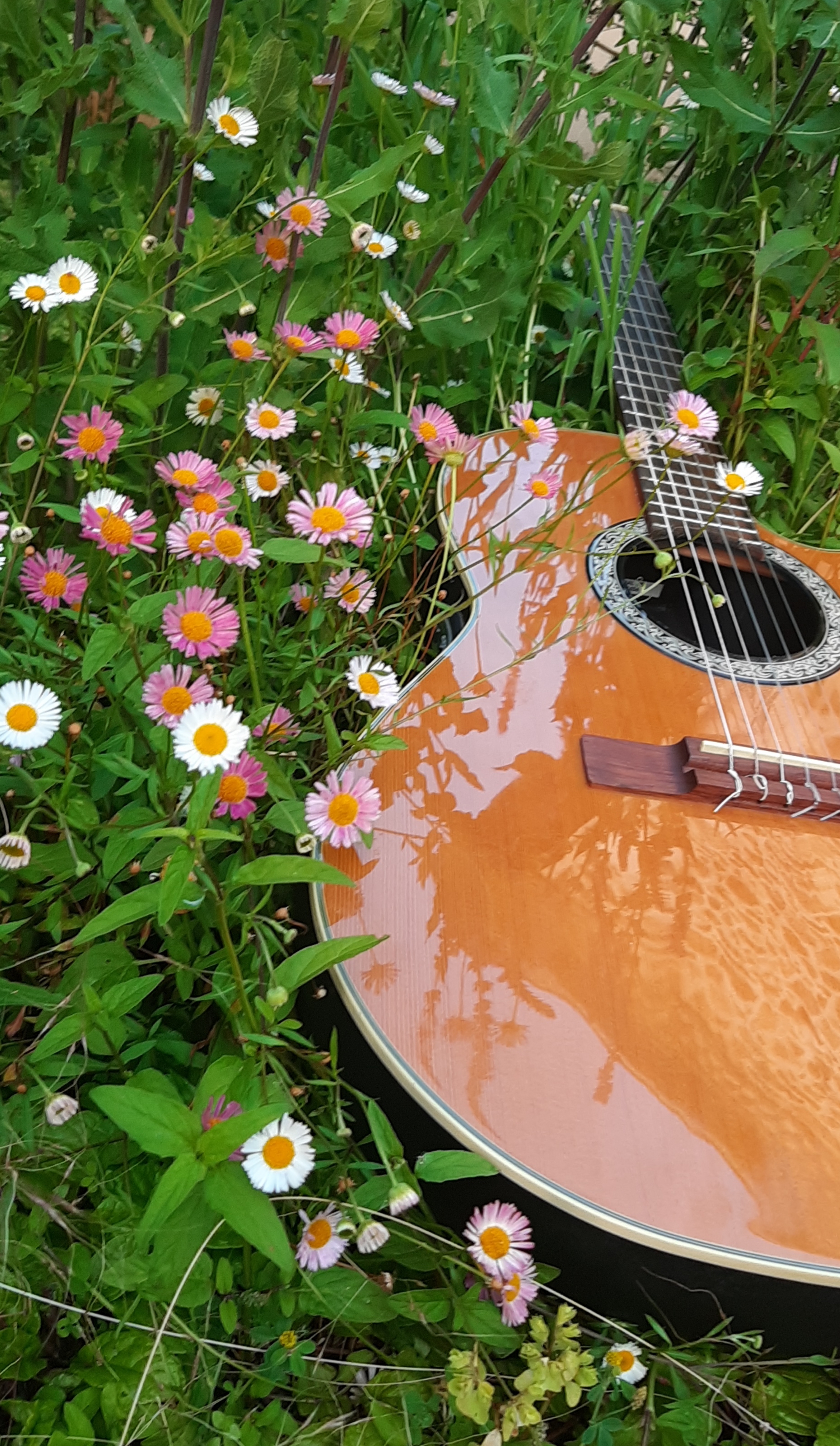 Concert chansons françaises nostalgiques accompagnées à la guitare